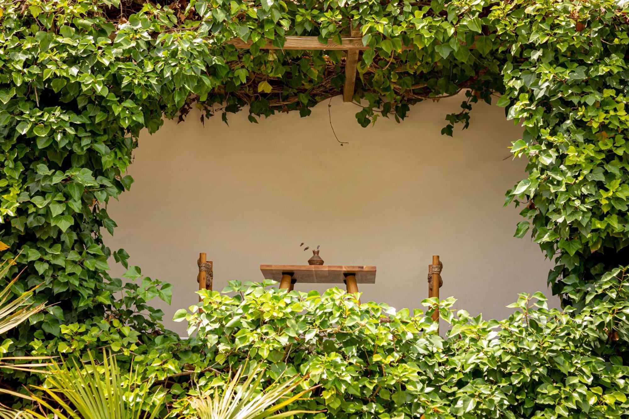 Boutique Hotel Jardines De Palerm San José Екстериор снимка