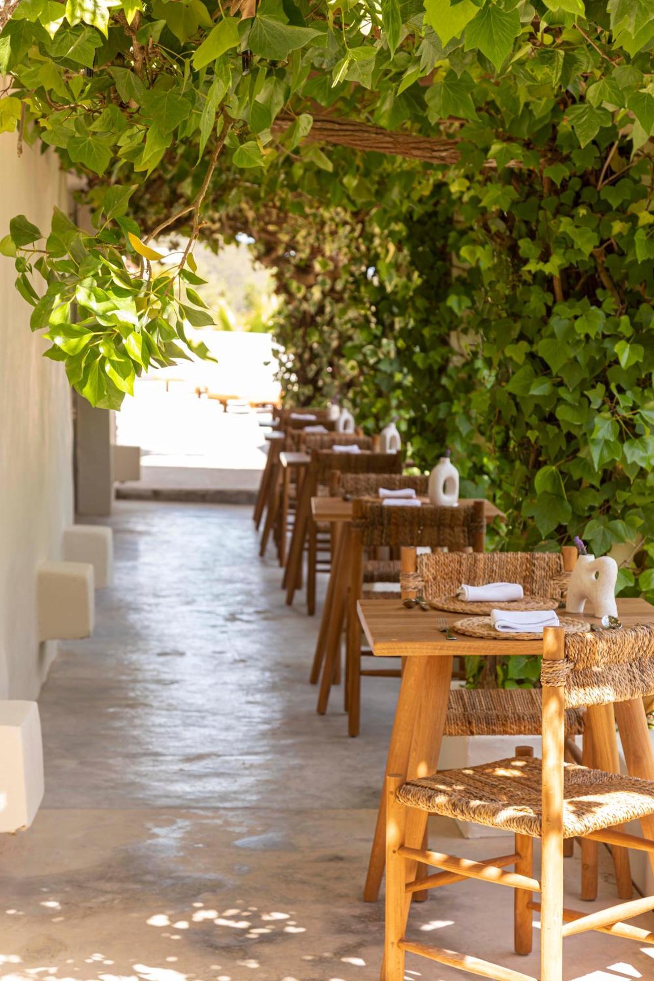 Boutique Hotel Jardines De Palerm San José Екстериор снимка