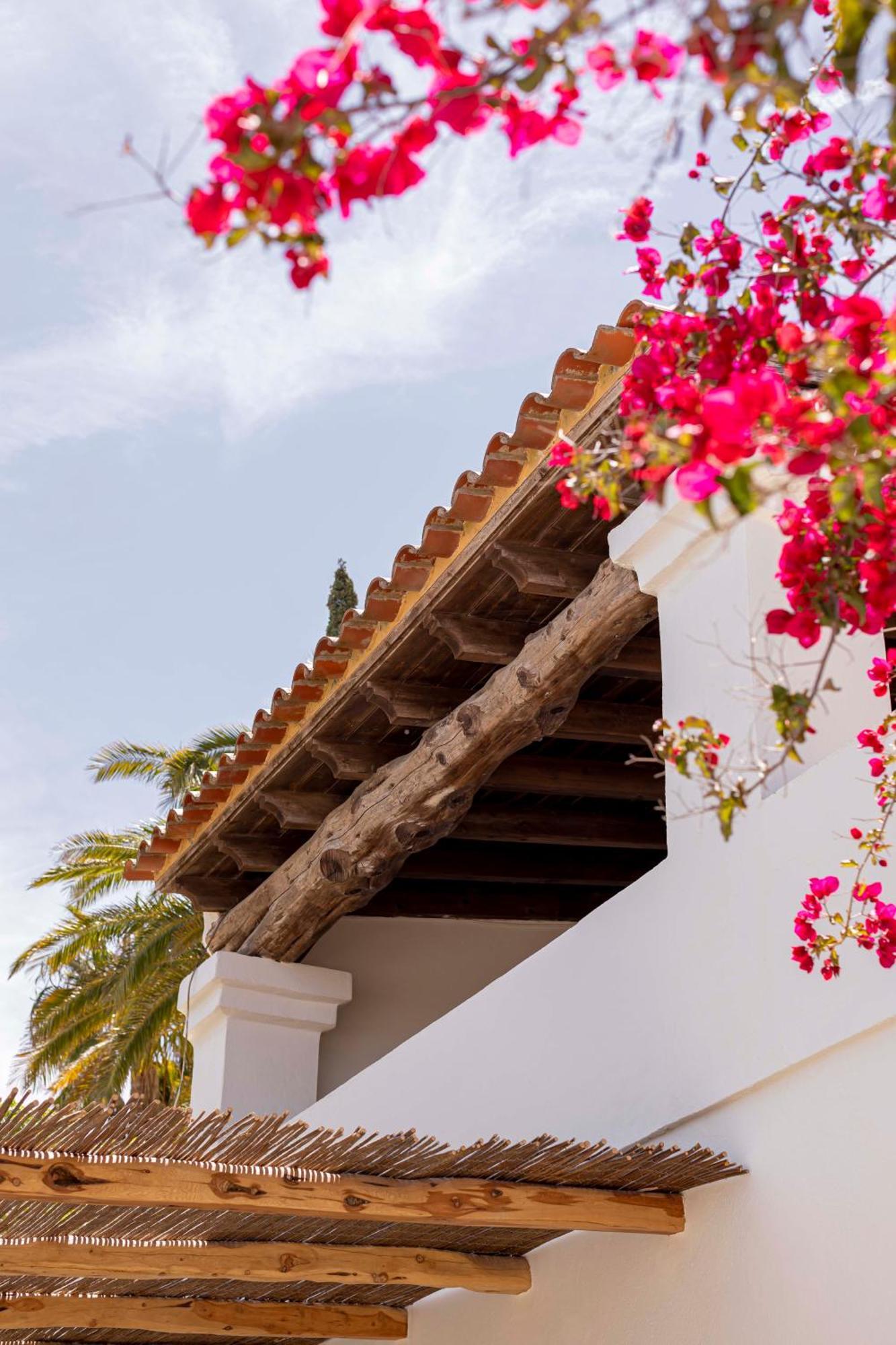 Boutique Hotel Jardines De Palerm San José Екстериор снимка